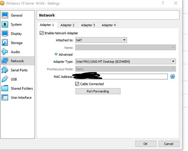 nat network adapter settings