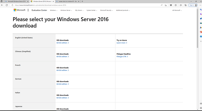 Server 2016 Screen shot