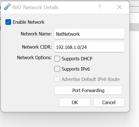virtualbox nat network details